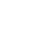 Netrix